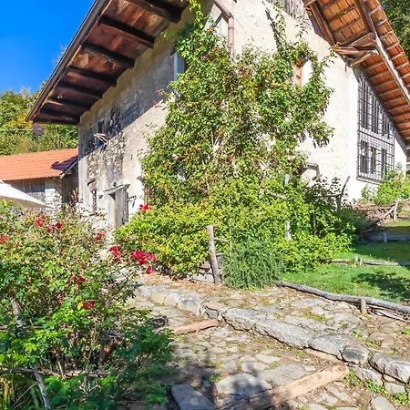 Ginestre Arola (Piedmont)